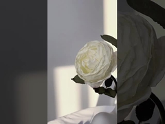 Simulação de flor única Manta rosas buquê de arremesso prop, decoração de casa nórdica buquê de casamento cr