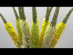 Decoração Fox Tail Grama Simulação Flor Casa Sala de estar Ponytail Flor Voar andorinha Grama Fl