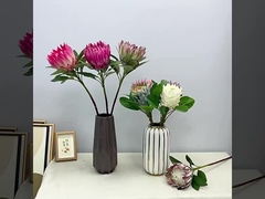 Simulação de cores de primavera Rei flor cena de tiro Imperador flor casa flor falsa decoração de casamento