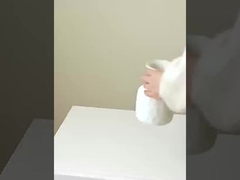 Simulação de 8 caquias pequenas, imitação de caquias reais e falsas, decoração do lar, casamento, s