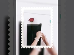 Deusa único pequeno buquê embalagem transparente op filme à prova d'água embrulhado em papel de flores diy mate