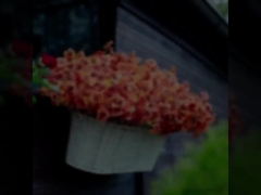 Decorações para festivais ao ar livre, plantas de outono, folhas artificiais de eucalipto, violetas de eucalipto, margaridas