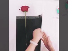 Papel de embrulho para o Dia das Mães com uma única flor, saco de embalagem de um único buquê de rosas, embrulho de flor de cravinho