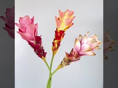 Simulação de flores, flores de gengibre, flores de lótus, impressão 3D, textura de flores, decoração de casa, modelo Ro