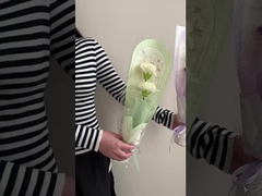 Flores acabadas em saco único, buquês de rosas, presentes de Dia dos Namorados e Dia dos Professores para os melhores