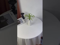 Verdadeiras plantas verdes, lágrimas de amantes, arranjos florais, flores da mesa de jantar, decoração do lar,
