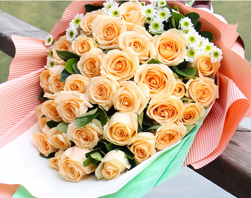 Bom preço. A cor lisa corrugou 50cmx70cm de papel não impermeáveis para o envolvimento da flor on-line