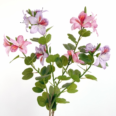 Bom preço. Flor de Bauhinia artificial de redbud chinês de plástico para decoração doméstica e de hotel on-line