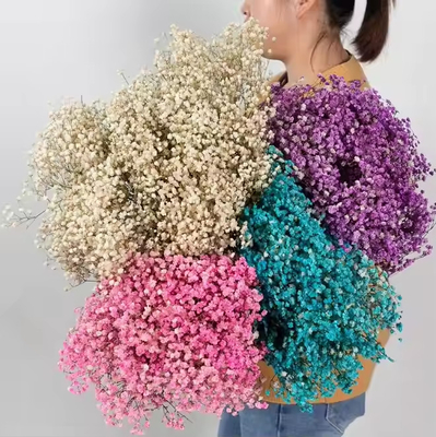 Bom preço. 100g Flor Seca Bouquet Artificial Baby Respiração Gypsophila Flor Decoração de Casamento Central on-line