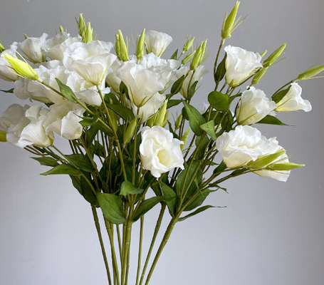 Bom preço. 3 peças de flores de Campanula simuladas, ornamentos para decoração de casa, flores de seda, adereços fotográficos, guias de casamento, cenários, buquês de flores falsos on-line
