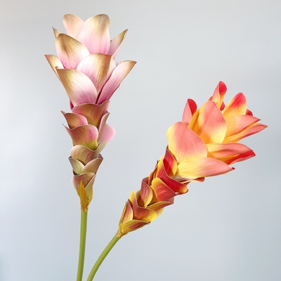 Bom preço. Flores simuladas, flores de gengibre, flores de lótus, impressão 3D, texturas de flores, decoração de casa, decoração de salas de modelos, adereços para cenários de casamento, buquê on-line