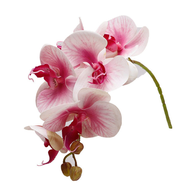 Simulação de plástico 3D decoração de casamento de orquídeas borboleta, adereços de pétalas, flores falsas, pequenos feixes de flores, flores simulação de orquídeas borboleta
