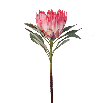 Simulação de cores de primavera Rei flor cena de tiro Imperador flor casa flor falsa decoração de flores casamento rei flor simulação flor