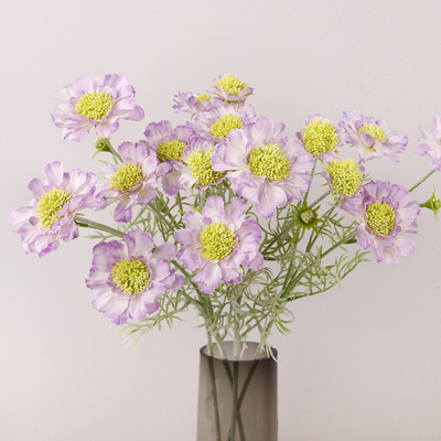 Bom preço. Simulação Roda Pico Crisântemo Pinheiro Cordyceps Casa Falsos Flores Posicionamento Adereços Decoração Cornflower Simulação Flores Plástico on-line
