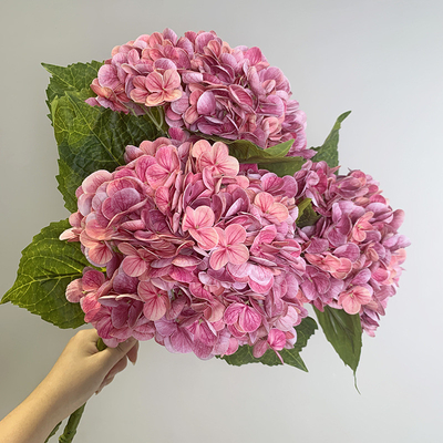 Bom preço. Flores de hortênsia biomiméticas, flores simuladas, toque hidratante, buquês de hortênsia, decorações de mesa da sala de estar, decorações de arranjos florais de casamento on-line