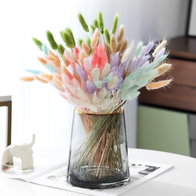 Ins site buquê de flores vermelhas flor da vida eterna decoração de casa sala de estar ornamento rabo de coelho grama cachorra rabo de grama flor seca